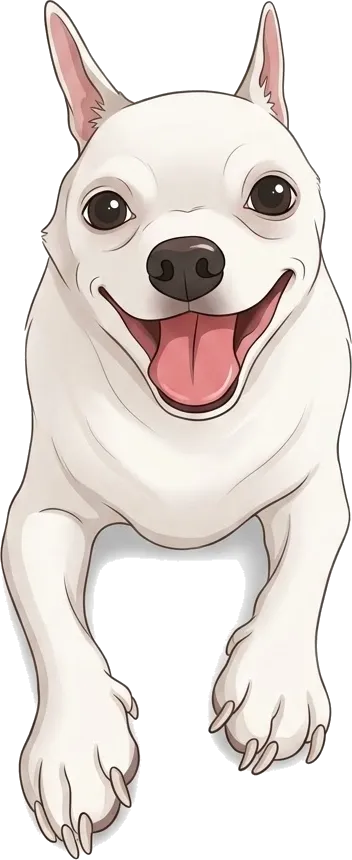 Jojo, a white chihuahua, trotting towards you with his tongue out